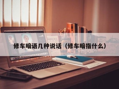 石家庄修车暗语几种说话（修车暗指什么）