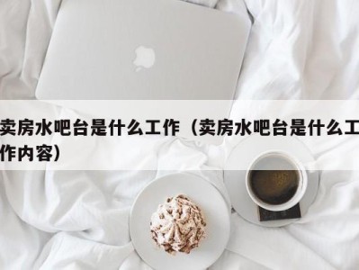 石家庄卖房水吧台是什么工作（卖房水吧台是什么工作内容）