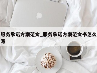 石家庄服务承诺方案范文_服务承诺方案范文书怎么写 